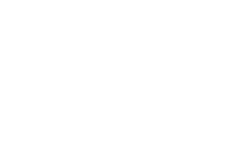 Wayzo Wayzo