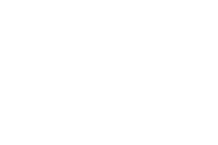 Keesing Technologies Keesing Technologies